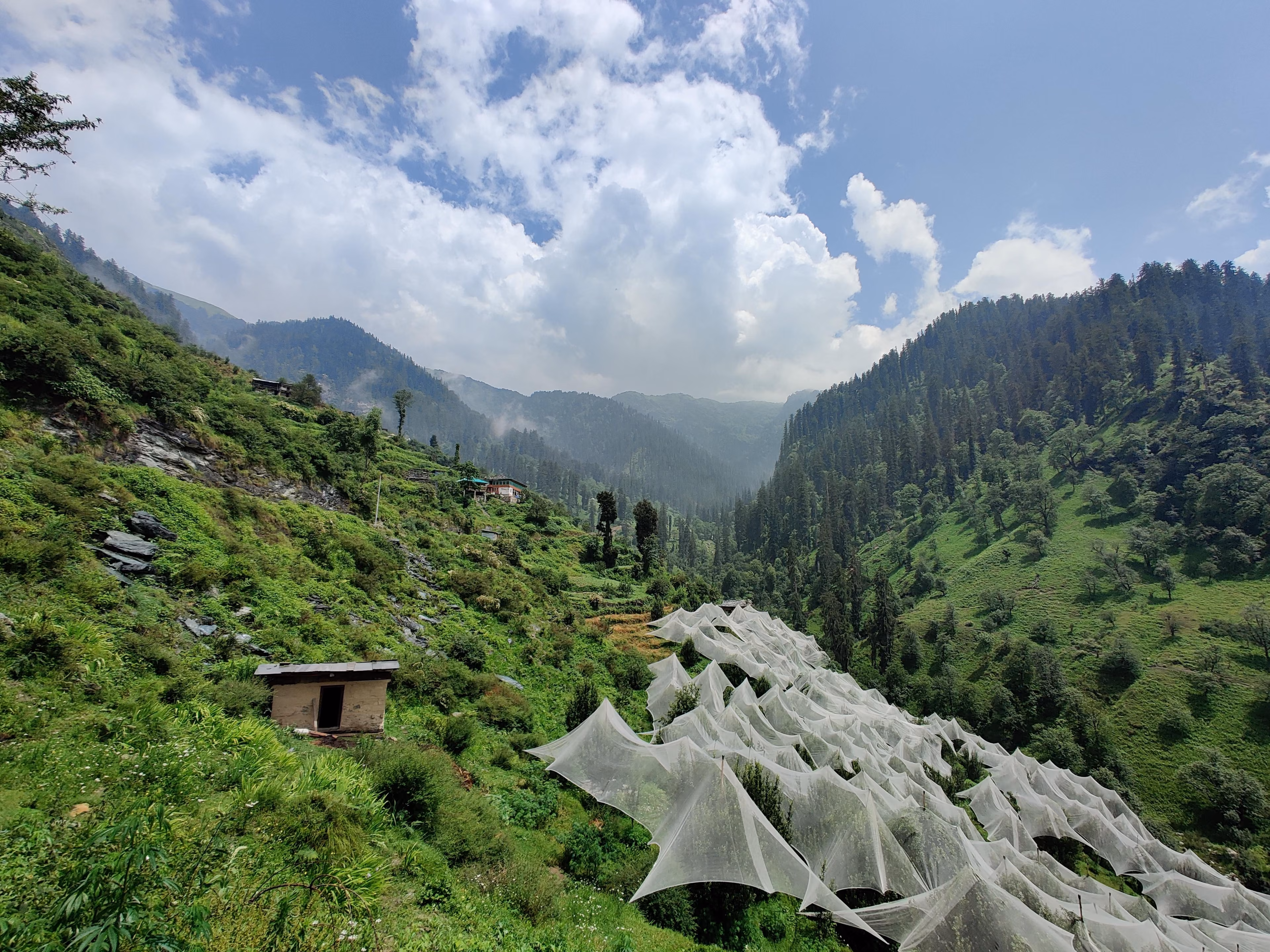 Jibhi Jalori Tirthan Valley
